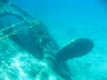 Bimini Trader Wreck Image