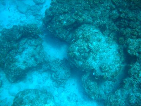 Hawksbill Reef North