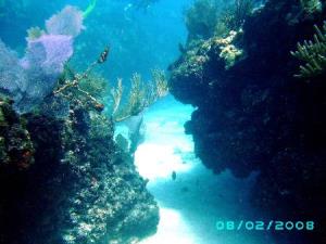 Looe Key Reef